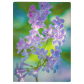 Lila Lilac-Blume Klemmbrett (Rückseite)