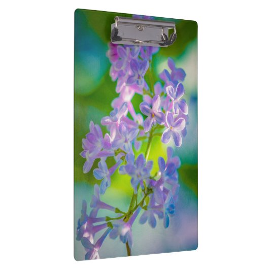 Lila Lilac-Blume Klemmbrett (Rechts)