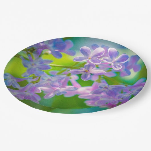 Lila Lilac-Blume Pappteller (Schrägansicht)
