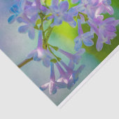 Lila Lilac-Blume Seidenpapier (Ausschnitt)