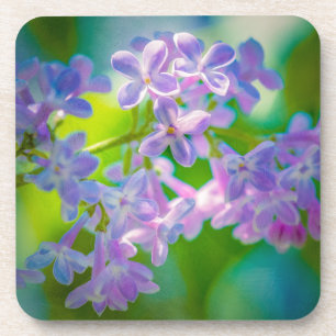 Lila Lilac-Blume Untersetzer