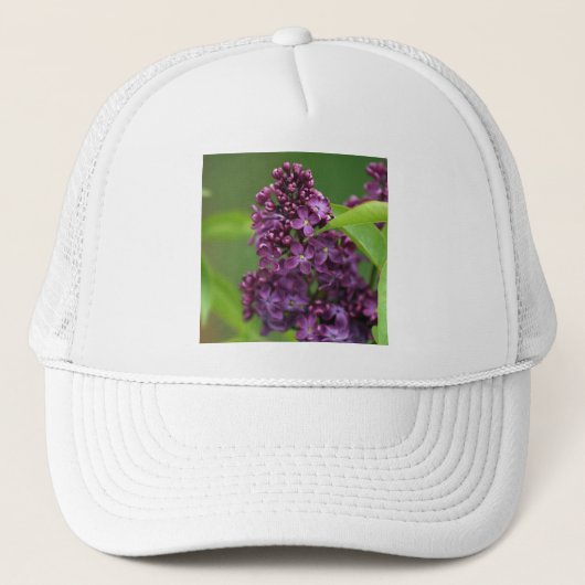 Lila Lilac Hat Truckerkappe (Vorderseite)