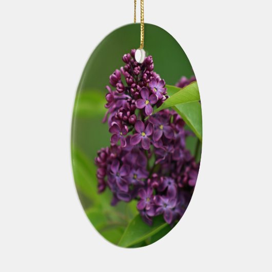 Lila Lilac Ornament (Rechts)