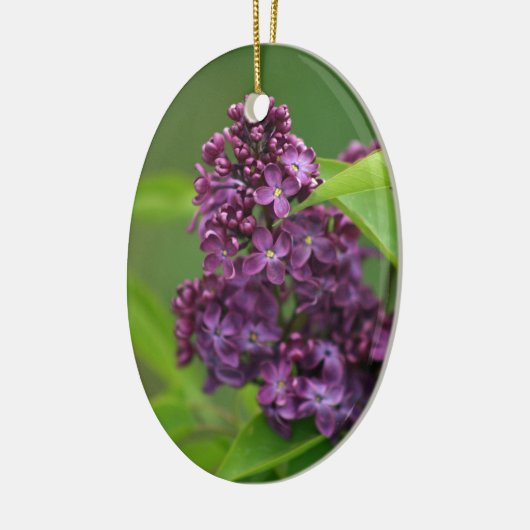 Lila Lilac Ornament (Links)