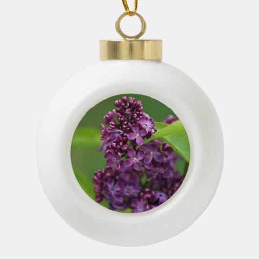 Lila Lilac Ornament (Vorderseite)