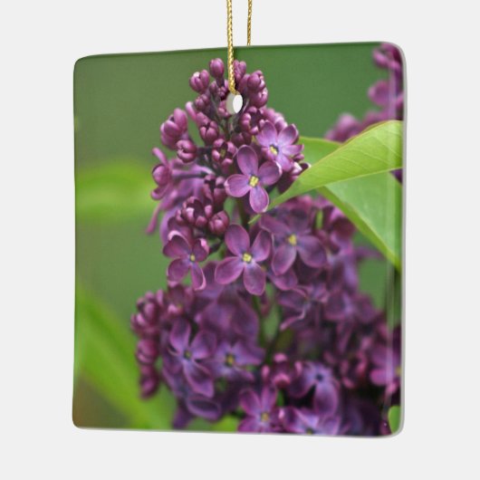 Lila Lilac Ornament (Links)
