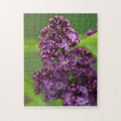 Lila Lilac Puzzle (Vertikal)