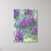 Lila Lilac von Cargill, 1937 Leinwanddruck (Vorderseite)