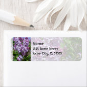 Lila Lilacs (Insitu)