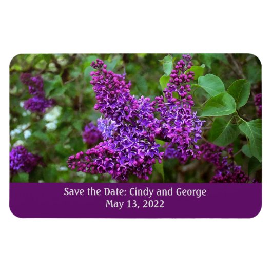 Lila Lilacs an einem Frühlingstag - Save the Date Magnet (Horizontal)