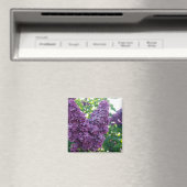 Lila Lilacs Magnet (In Situ (Geschirrspüler))