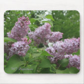 Lila Lilacs Mousepad (Vorne)