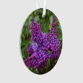 Lila Lilacs Ornament (Vorderseite)