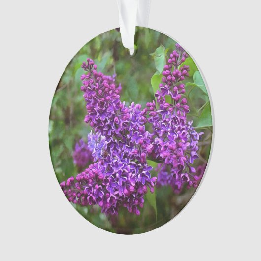 Lila Lilacs Ornament (Vorderseite)