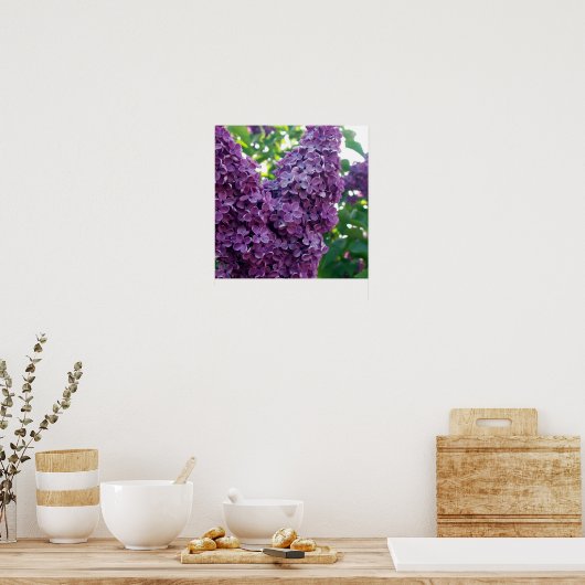 Lila Lilacs Poster Prints (Küche)