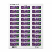 Lila Lilacs-Postetikett (Vorne)