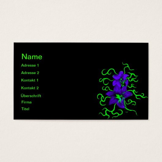 lila Lilie Blume (Vorderseite)