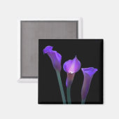 Lila Lilies Magnet (Vorderseite/Rückseite)