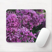 Lila Lillacke, rosa | romantisches rosa Foto Mousepad (Mit Mouse)