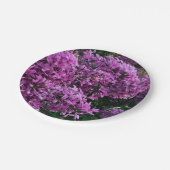 Lila Lillacke, rosa | romantisches rosa Foto Pappteller (Schrägansicht)