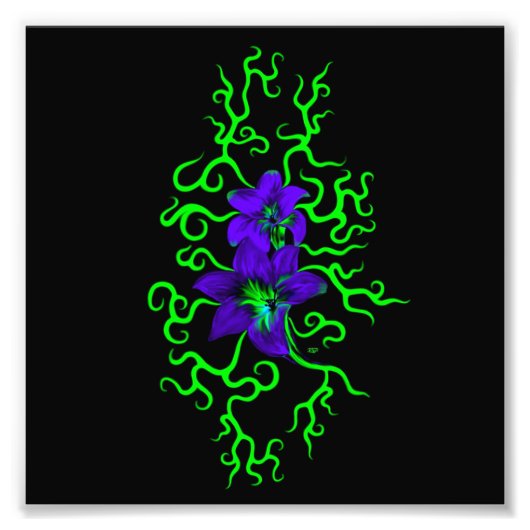 Lila Lily-Blume auf schwarz Fotodruck (Vorne)