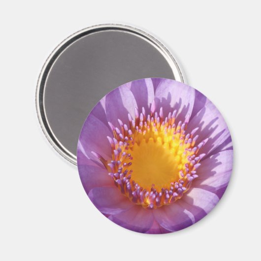 Lila Lily Magnet (Vorderseite/Rückseite)