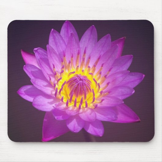 Lila Lotos-Blume Mousepad (Vorne)