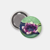 Lila Lotus Blume Foto MagnetPurple Lotus Magnet (Vorderseite/Rückseite)