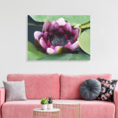 Lila Lotus Fotografy Single Print Leinwanddruck (Insitu (Wohnzimmer))