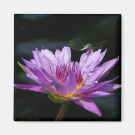 Lila Lotus-Wasserlilie-Dragonfly-Magnet Magnet