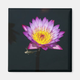 Lila Lotus-Wasserlilie-Dragonfly-Nymph-Magnet Magnet