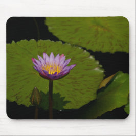 Lila Lotus Wasserlilie Mouse Pad Mousepad