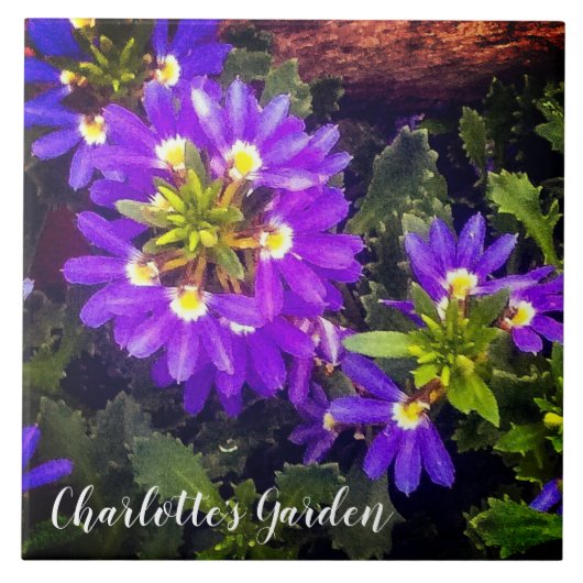 Lila LüfterBlume Fliese (Vorderseite)