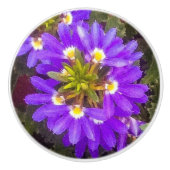 Lila LüfterBlume Keramikknauf (Vorderseite)