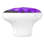 Lila LüfterBlume Keramikknauf (Seitenansicht)