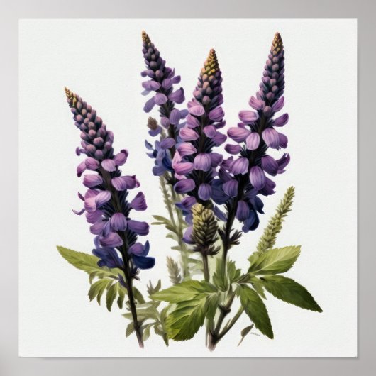 Lila Lupine Blume Art Print Poster (Vorne)