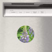 Lila Lupine Blume Magnet (In Situ (Geschirrspüler))