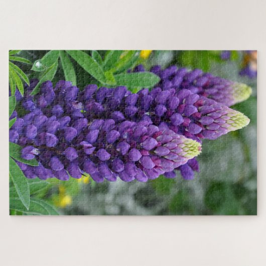 Lila Lupine-Blume Puzzle (Horizontal)