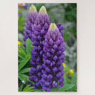 Lila Lupine-Blume Puzzle