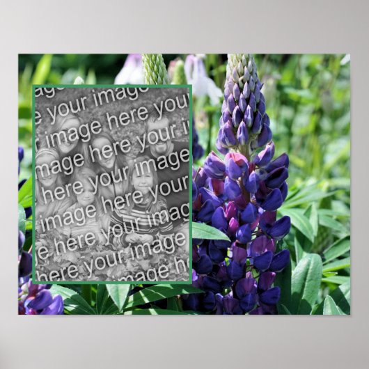 Lila Lupine Blume Rahmen Foto hinzufügen Poster (Vorne)