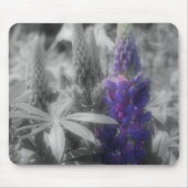 Lila Lupine-Blume Schwarz-Weiß-Mousepad Mousepad (Vorne)