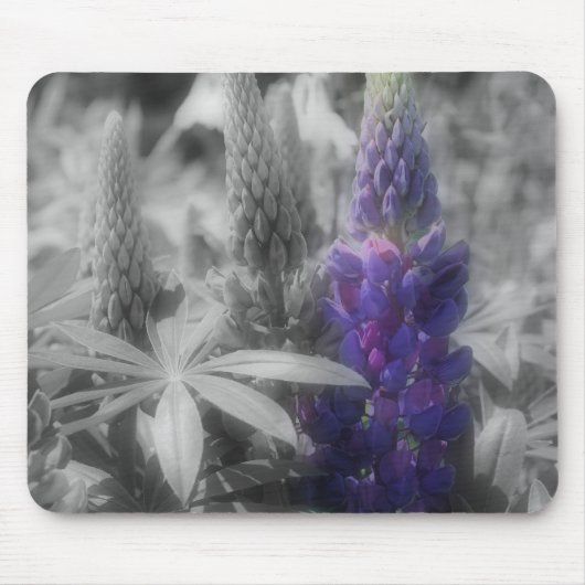Lila Lupine-Blume Schwarz-Weiß-Mousepad Mousepad (Vorne)