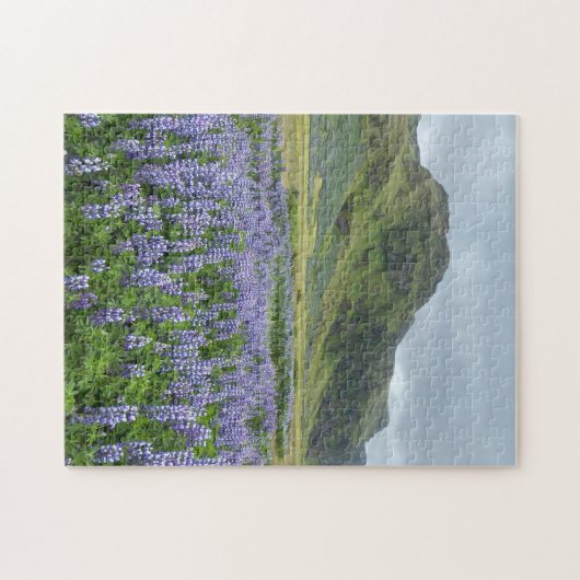 Lila Lupine-Blume und Grüne Berge Puzzle (Horizontal)