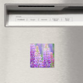 Lila Lupine-Blumen-Magnet Magnet (In Situ (Geschirrspüler))