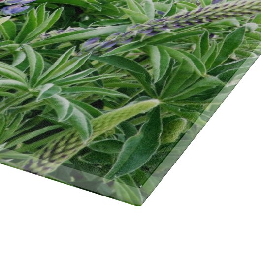 Lila Lupine-Blumen Schneidebrett (Ecke)