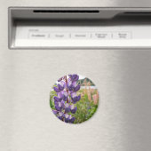 Lila Lupine Magnet (In Situ (Geschirrspüler))