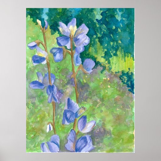 Lila Lupine Wildblumen Wasserfarbene Landschaft Poster (Vorne)