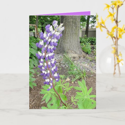 Lila Lupinen Karte (Gelbe Blume)