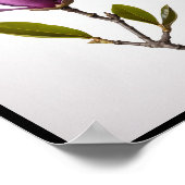 Lila magnolische Blume, Magnolia felix Wall Poster (Ecke)