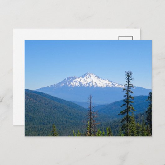 Lila Majestät (Monte Shasta, CA) Postkarte (Vorne/Hinten)